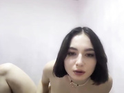 avsyankaz