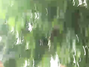 Shark_sharky бесплатное вебкам шоу и XXX чат _ xHamsterLive 2022-07-02 07_05