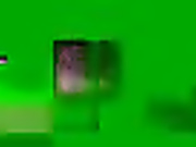 flipflapfap