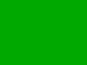 natalinylon2