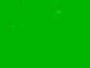 natalinylon2