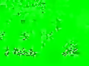 natalinylon2
