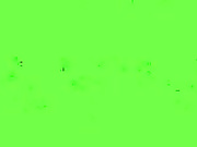 natalinylon2