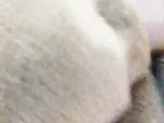 Онлайн-эровидеочат с -Isabella- на BongaCams 2023-01-30 17_42