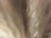 Онлайн-эровидеочат с _Lasker_ на BongaCams 2023-02-07 23_34