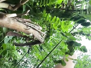 Онлайн-эровидеочат с JoyLolka на BongaCams 2022-07-20 20_23