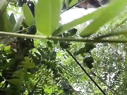 Онлайн-эровидеочат с JoyLolka на BongaCams 2022-07-20 20_23