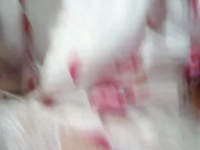 Your-Anna