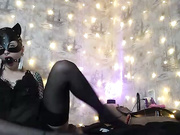 KittyBay