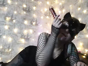 KittyBay