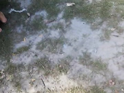 Онлайн-эровидеочат с AlisaFist на BongaCams 2022-08-22 10_27