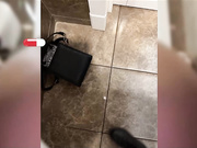 -Your_lusi-в туалете-6