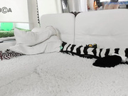reptile_lifehacks
