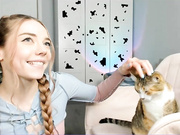 thisisamelia