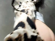 Katexoxo бесплатное вебкам шоу и XXX чат _ xHamsterLive 2023-01-19 22_58