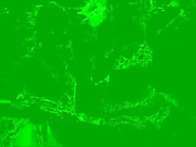 Luna-Natural бесплатное вебкам шоу и XXX чат _ xHamsterLive 2022-12-22 17_52