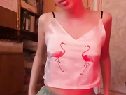 Di-Sonik