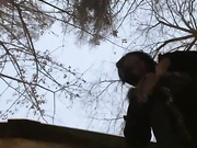 Kisa-Gav