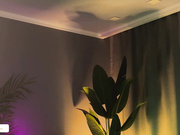 lanatropicon