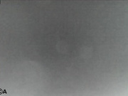 Общение с пользователем Sexy_Cute_Ass в онлайн-видеочате (18+) 2023-02-02 16_52