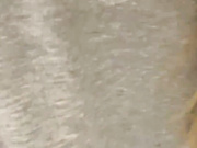 AniGi