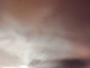 hayneiko-2023-03-26_04-38-18