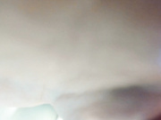 hayneiko-2023-03-26_04-38-18