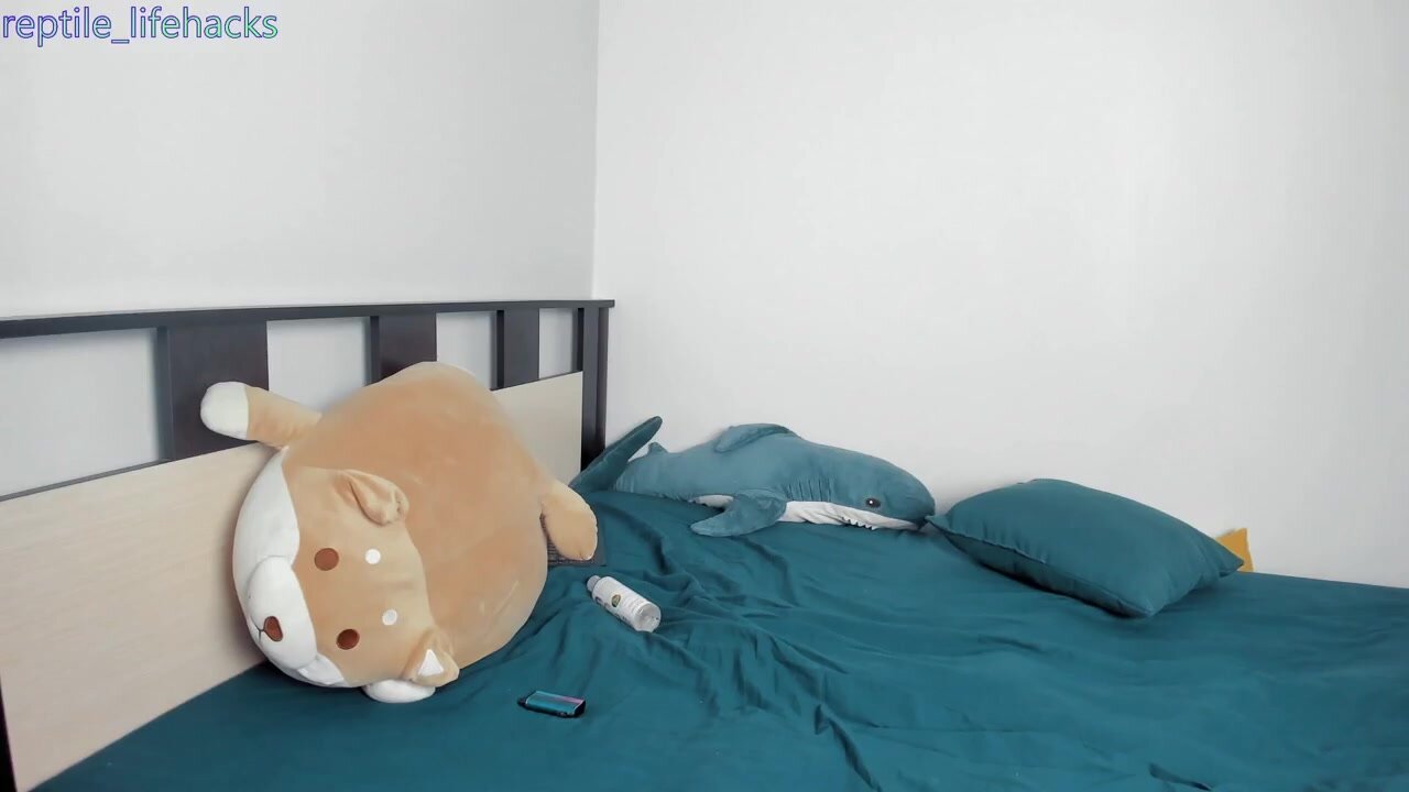 reptile_lifehacks