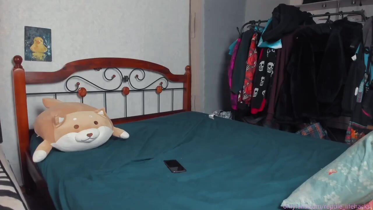 reptile_lifehacks