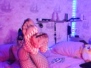 KittyBay