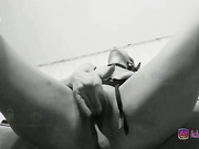 _d_a_s_h_a_