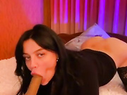 palmira