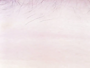 hairycrotch