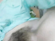 toxictiger