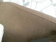 sofiasiren