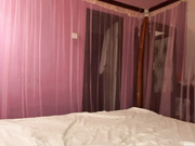Ginger_22