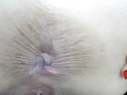 Общение с пользователем Lickmyass555 в онлайн-видеочате (18+) 2023-03-22 19_12