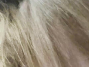 ----Angel---