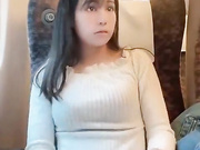 Японская девушка мастурбирует в Синкансене