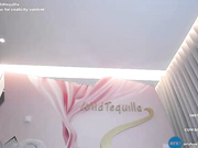 Общение с пользователем Wildtequilla в онлайн-видеочате (18+) 2023-04-22 01_01