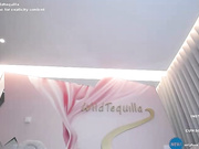 Общение с пользователем Wildtequilla в онлайн-видеочате (18+) 2023-04-22 01_01