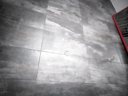 Alejandra_Iris бесплатное вебкам шоу и XXX чат _ xHamsterLive 2023-04-25 04_19