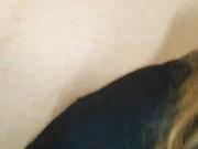 Lilo-Stitch 26.04.2023