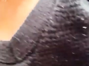 CataleyaRusso бесплатное вебкам шоу и XXX чат _ xHamsterLive 2023-04-26 19_26