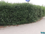 Krystal Swift - Public Agent