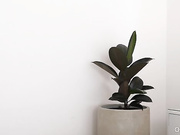 naughtysammx 2023-05-05