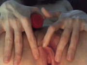pollycutiexx1