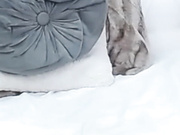 melanielexxx 2023-05-11