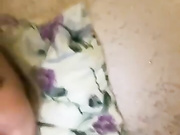 dikaya_koshka_ADAAAAA