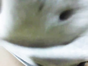 Kislincat